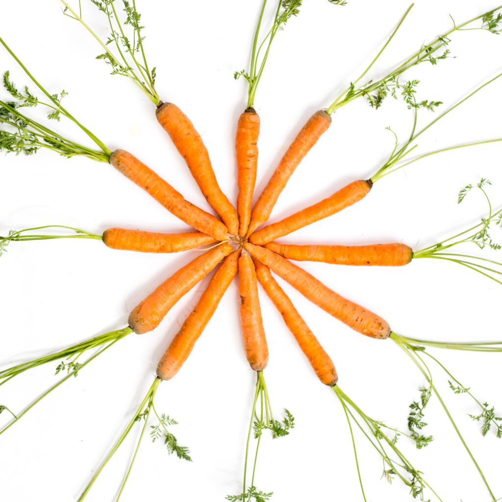 raw carrots are an easy veggie to grow with kids