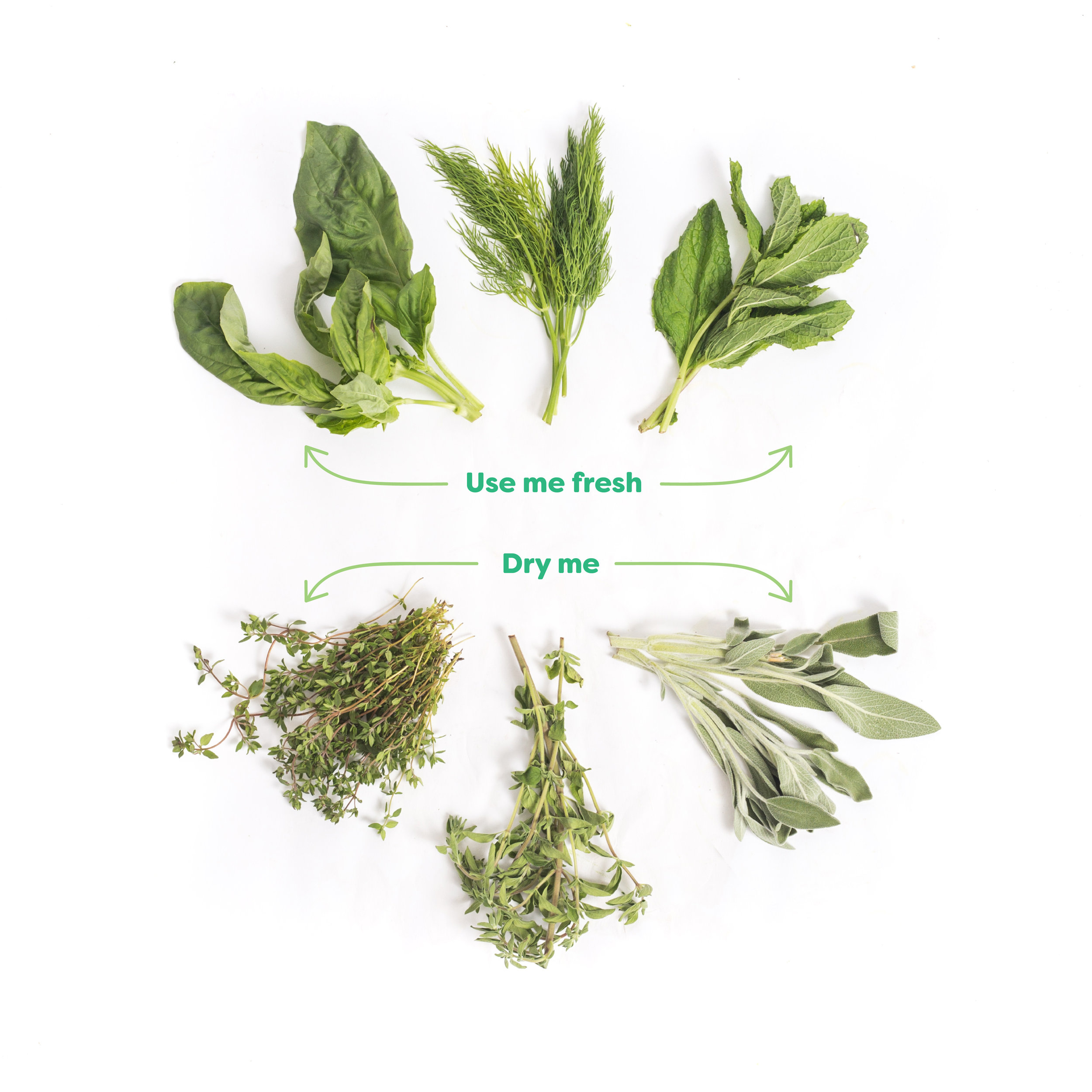 What the Fork: Fresh vs. Dry Herbs