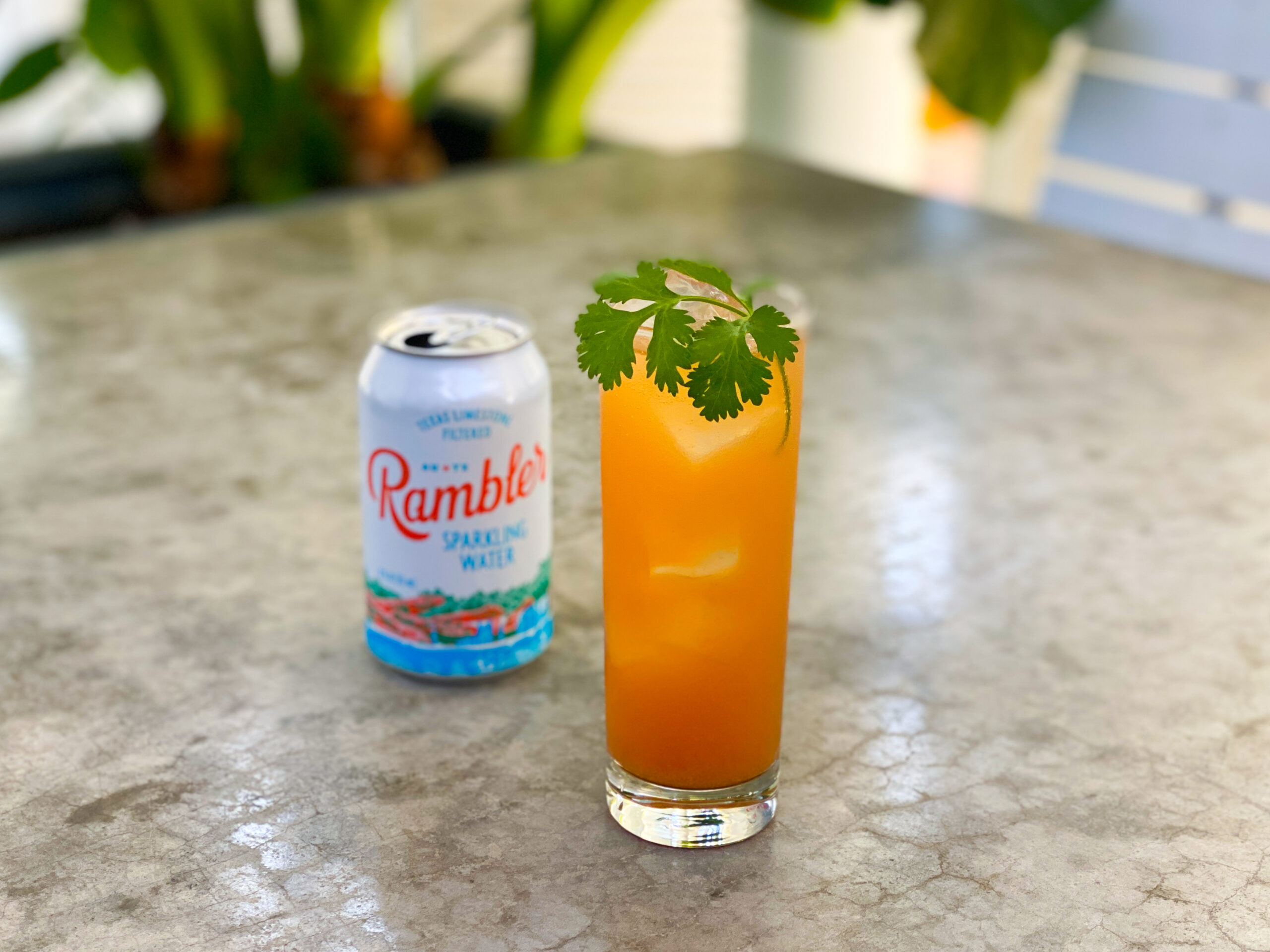 citrus cocktail