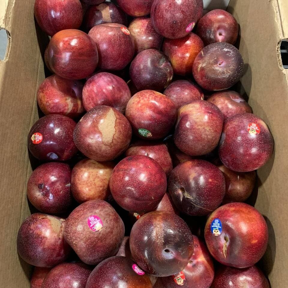 scarred and sunburned plums