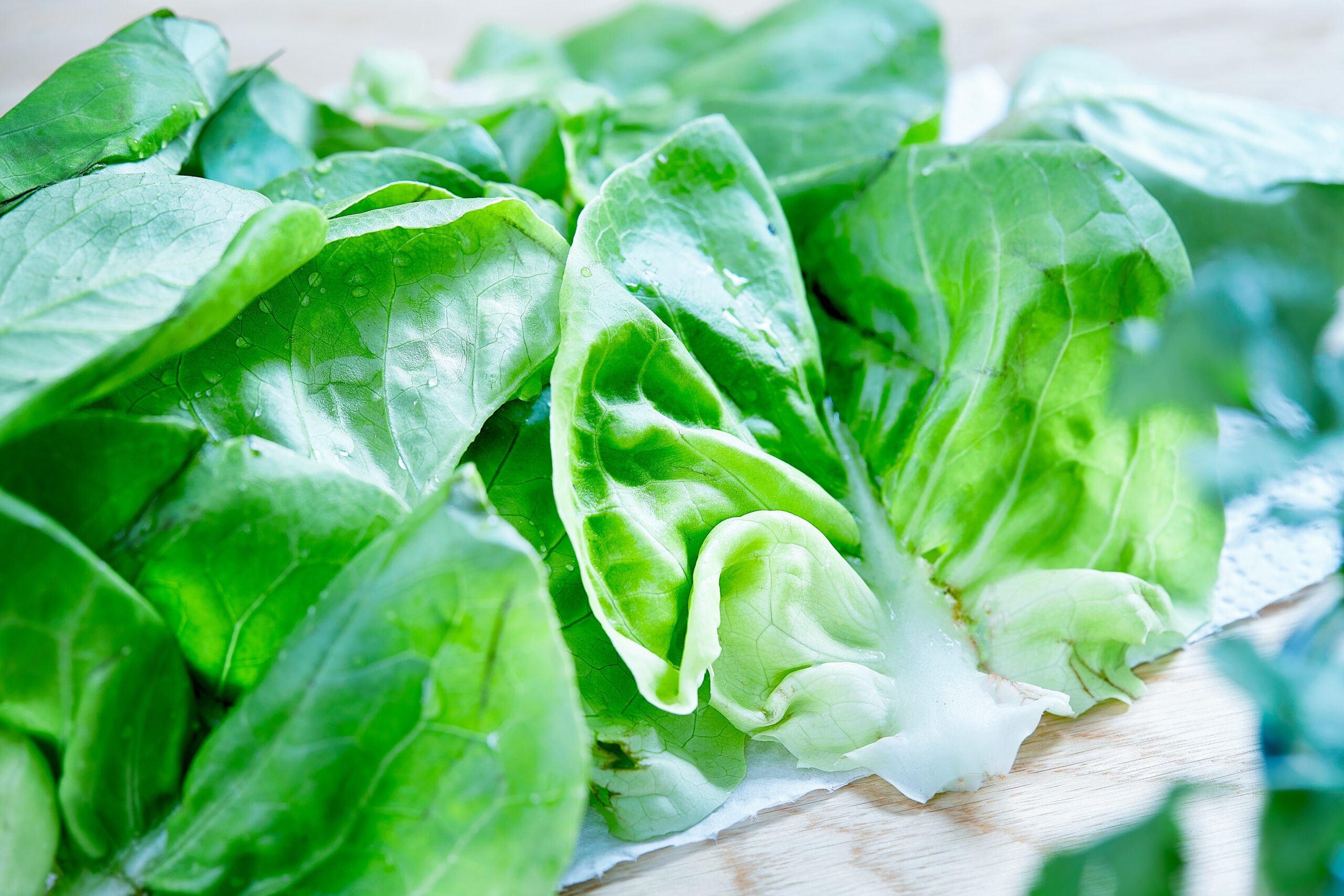 So Fresh And So Green Green How To Store Leafy Greens So Fresh So 